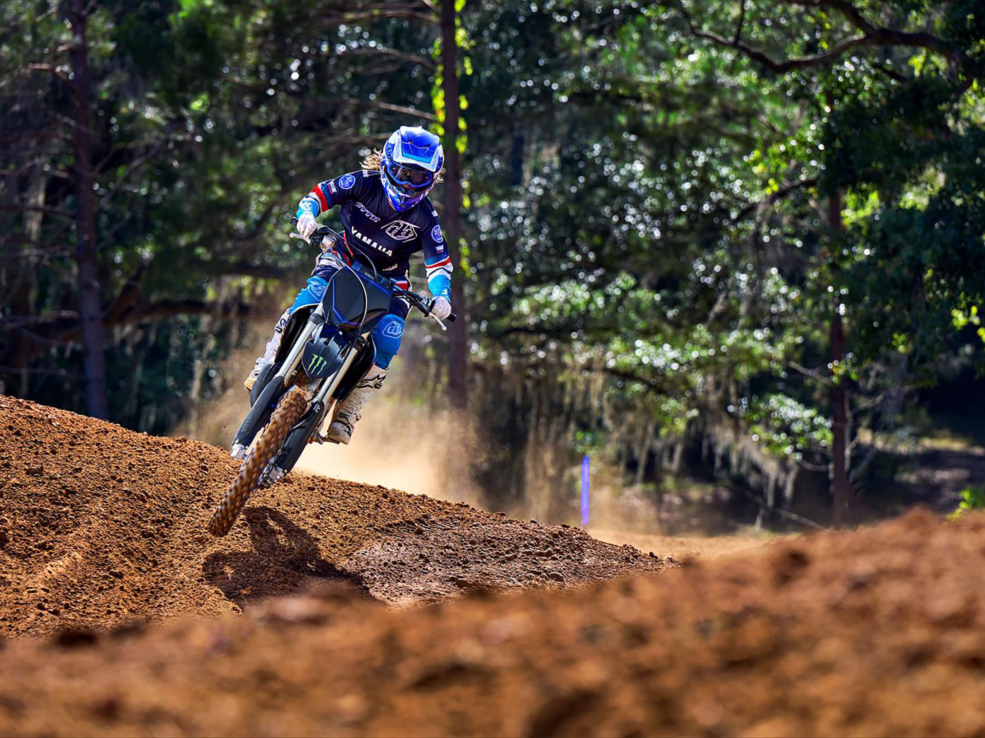 2023 Yamaha YZ125 Monster Energy Yamaha Racing Edition in Spencerport, New York - Photo 7