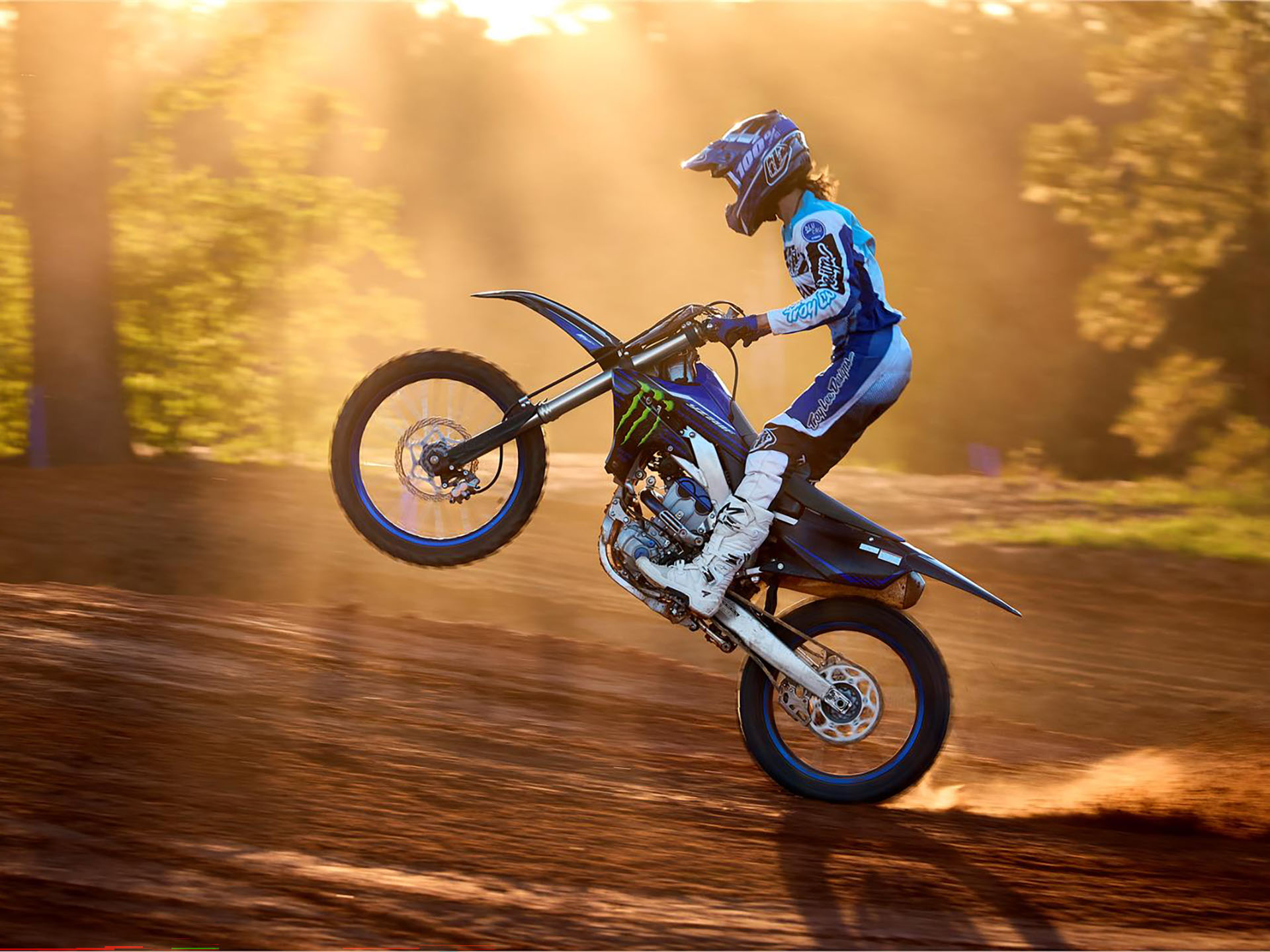 2023 Yamaha YZ250F Monster Energy Yamaha Racing Edition in Spencerport, New York - Photo 11