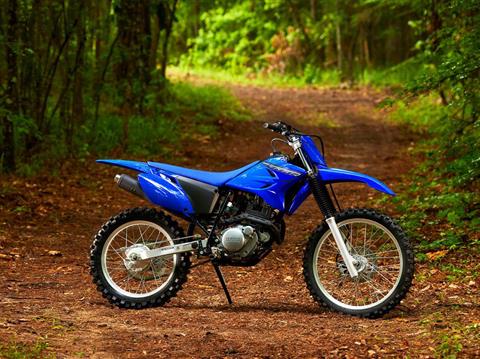 2023 Yamaha TT-R230 in Spencerport, New York - Photo 6