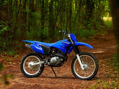 2023 Yamaha TT-R230 in Spencerport, New York - Photo 7