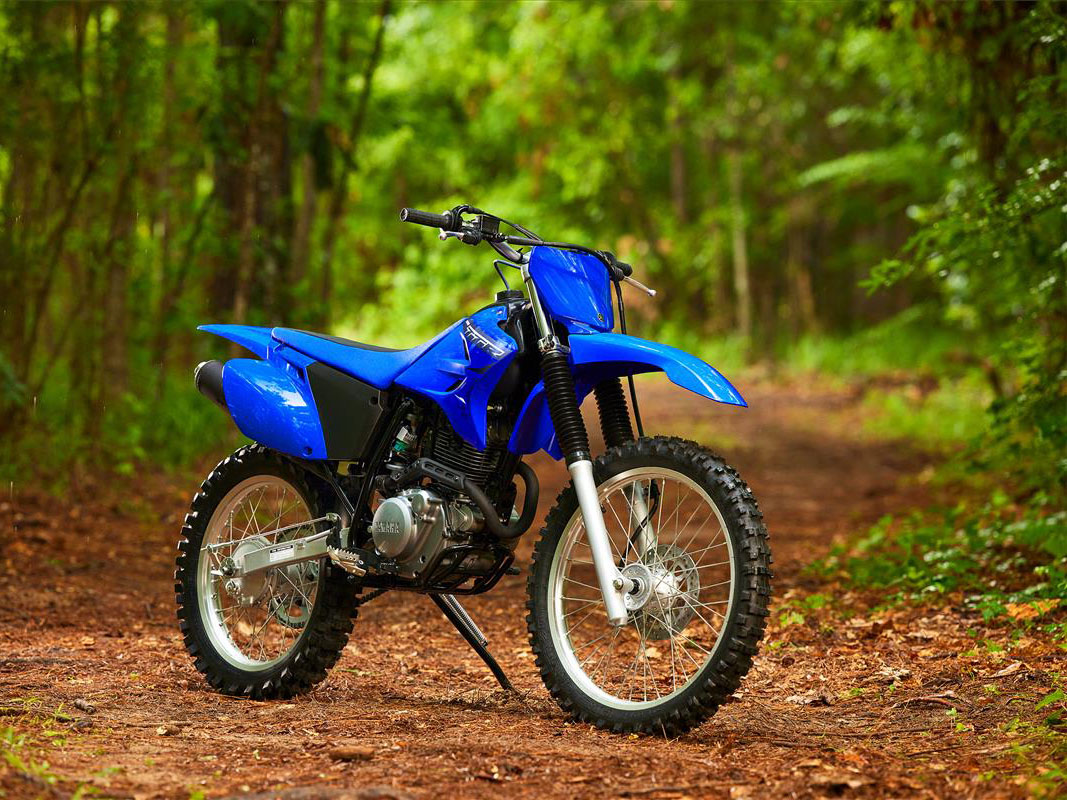 2023 Yamaha TT-R230 in Spencerport, New York - Photo 8