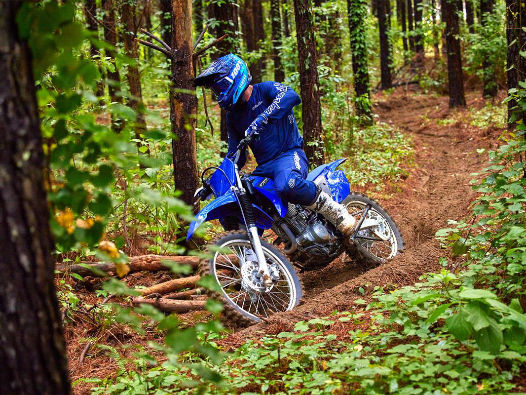 2023 Yamaha TT-R230 in Spencerport, New York - Photo 12