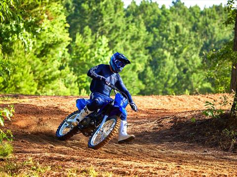 2023 Yamaha TT-R230 in Spencerport, New York - Photo 13