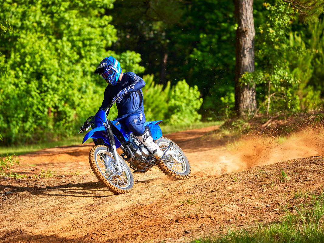 2023 Yamaha TT-R230 in Spencerport, New York - Photo 14