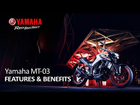 2021 Yamaha MT-03 in Spencerport, New York - Video 2